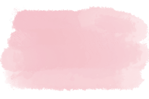 PINK BLUSH SPEED ROPE